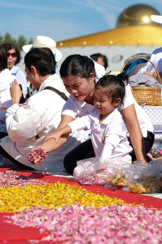 ภาพ No.33306:โครงการธรรมยาตรา เส้นทางพระผู้ปราบมาร ปีที่ 7 ณ วัดพระธรรมกาย