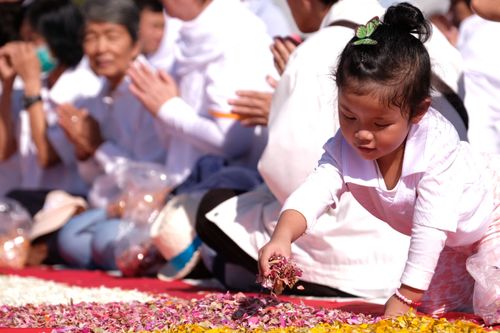 ภาพ No.33304:โครงการธรรมยาตรา เส้นทางพระผู้ปราบมาร ปีที่ 7 ณ วัดพระธรรมกาย