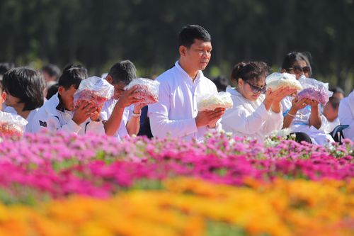 ภาพ No.33281:โครงการธรรมยาตรา เส้นทางพระผู้ปราบมาร ปีที่ 7 ณ วัดพระธรรมกาย