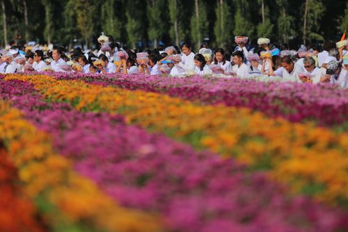 ภาพ No.33278:โครงการธรรมยาตรา เส้นทางพระผู้ปราบมาร ปีที่ 7 ณ วัดพระธรรมกาย