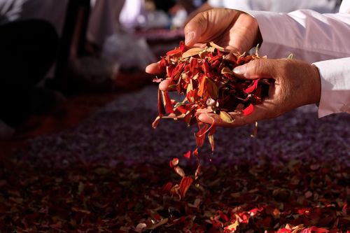 ภาพ No.33499:โครงการธรรมยาตรา เส้นทางพระผู้ปราบมาร ปีที่ 7 ณ อนุสรณ์สถานพระมงคลเทพมุนี