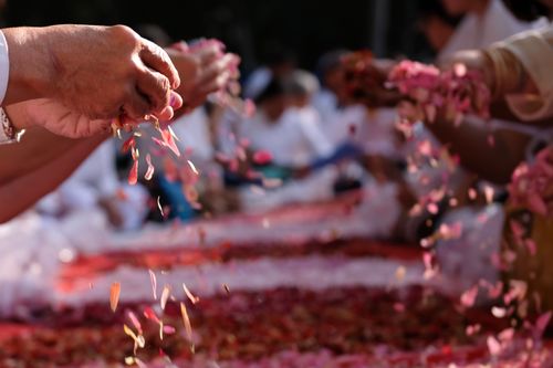 ภาพ No.33501:โครงการธรรมยาตรา เส้นทางพระผู้ปราบมาร ปีที่ 7 ณ อนุสรณ์สถานพระมงคลเทพมุนี