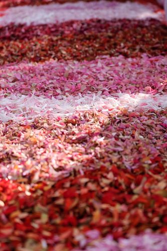 ภาพ No.33503:โครงการธรรมยาตรา เส้นทางพระผู้ปราบมาร ปีที่ 7 ณ อนุสรณ์สถานพระมงคลเทพมุนี