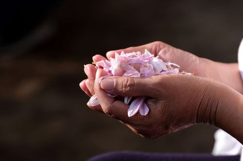 ภาพ No.33507:โครงการธรรมยาตรา เส้นทางพระผู้ปราบมาร ปีที่ 7 ณ อนุสรณ์สถานพระมงคลเทพมุนี