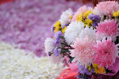 ภาพ No.33513:โครงการธรรมยาตรา เส้นทางพระผู้ปราบมาร ปีที่ 7 ณ อนุสรณ์สถานพระมงคลเทพมุนี