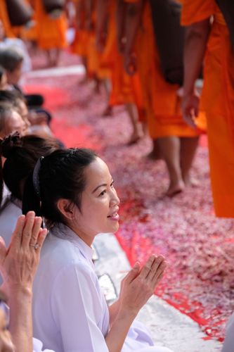 ภาพ No.33524:โครงการธรรมยาตรา เส้นทางพระผู้ปราบมาร ปีที่ 7 ณ อนุสรณ์สถานพระมงคลเทพมุนี