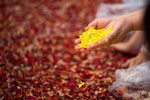 ภาพ No.33731:โครงการธรรมยาตรา เส้นทางพระผู้ปราบมาร ปีที่ 7 ณ วัดสองพี่น้อง