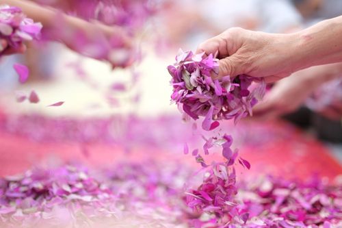 ภาพ No.33756:โครงการธรรมยาตรา เส้นทางพระผู้ปราบมาร ปีที่ 7 ณ วัดสองพี่น้อง