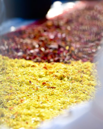 ภาพ No.33892:โครงการธรรมยาตรา เส้นทางพระผู้ปราบมาร ปีที่ 7 ณ วัดโบสถ์บน