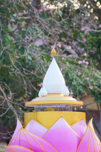 ภาพ No.34097:โครงการธรรมยาตรา เส้นทางพระผู้ปราบมาร ปีที่ 7 ณ วัดโบสถ์บน