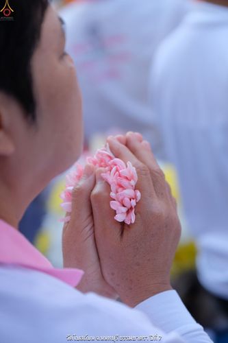 ภาพ No.33805:โครงการธรรมยาตรา เส้นทางพระผู้ปราบมาร ปีที่ 7 ณ วัดโบสถ์บน