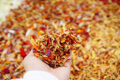 ภาพ No.33986:โครงการธรรมยาตรา เส้นทางพระผู้ปราบมาร ปีที่ 7 ณ วัดโบสถ์บน