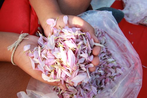 ภาพ No.34214:โครงการธรรมยาตรา เส้นทางพระผู้ปราบมาร ปีที่ 7 ณ อนุสรณ์สถานบางปลา