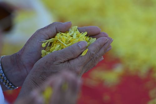 ภาพ No.34328:โครงการธรรมยาตรา เส้นทางพระผู้ปราบมาร ปีที่ 7 ณ อนุสรณ์สถานบางปลา