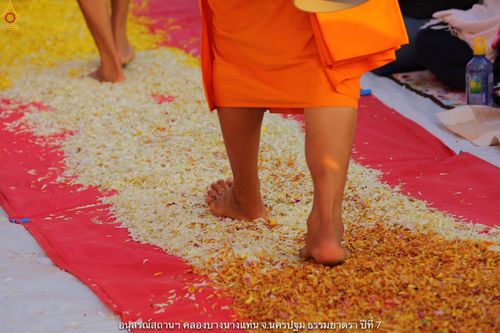 ภาพ No.34501:โครงการธรรมยาตรา เส้นทางพระผู้ปราบมาร ปีที่ 7 ณ อนุสรณ์สถานคลองบางนางแท่น