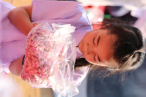 ภาพ No.34798:โครงการธรรมยาตรา เส้นทางพระผู้ปราบมาร ปีที่ 7 ณ วัดพระธรรมกาย