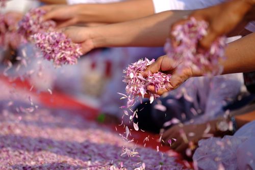 ภาพ No.34777:โครงการธรรมยาตรา เส้นทางพระผู้ปราบมาร ปีที่ 7 ณ วัดพระธรรมกาย