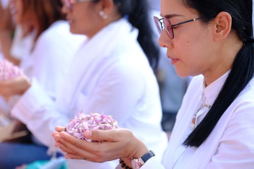 ภาพ No.34778:โครงการธรรมยาตรา เส้นทางพระผู้ปราบมาร ปีที่ 7 ณ วัดพระธรรมกาย