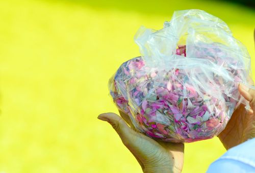 ภาพ No.34642:โครงการธรรมยาตรา เส้นทางพระผู้ปราบมาร ปีที่ 7 ณ วัดพระธรรมกาย