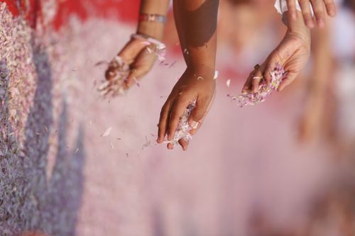 ภาพ No.34742:โครงการธรรมยาตรา เส้นทางพระผู้ปราบมาร ปีที่ 7 ณ วัดพระธรรมกาย