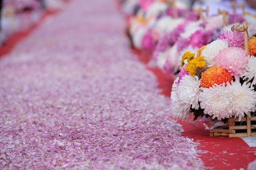 ภาพ No.34627:โครงการธรรมยาตรา เส้นทางพระผู้ปราบมาร ปีที่ 7 ณ วัดพระธรรมกาย