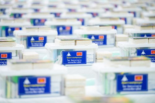 ภาพ No.30791:พิธีถวายสังฆทานแด่คณะสงฆ์ 323 วัด ใน 4 จังหวัดภาคใต้ ครั้งที่ 145