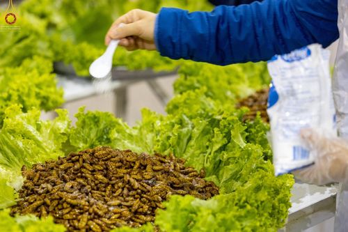 ภาพ No.75101:พิธีถวายภัตตาหารเป็นสังฆทาน แด่คณะพระธรรมยาตราฯ ในโครงการธรรมยาตรากตัญญูบูชา มหาปูชนียาจารย์ พระมงคลเทพมุนี(สด จนฺทสโร) พระผู้ปราบมาร อนุสรณ์สถาน 7 แห่ง ปีที่ 11 วันที่ 31 มกราคม พ.ศ. 2566