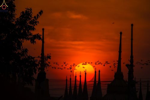 ภาพ No.71968:พิธีตักบาตรพระธรรมยาตราฯ ในโครงการธรรมยาตรากตัญญูบูชา มหาปูชนียาจารย์ พระมงคลเทพมุนี(สด จนฺทสโร) พระผู้ปราบมาร ปีที่ 11 ณ อนุสรณ์สถานลำดับที่ 3 สถานที่เกิดใหม่ในเพศสมณะ วัดสองพี่น้อง อ.สองพี่น้อง จ.สุพรรณบุรี วันที่ 18 มกราคม พ.ศ. 2566