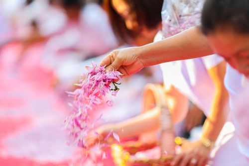 ภาพ No.34865:โครงการธรรมยาตรา เส้นทางพระผู้ปราบมาร ปีที่ 8 ณ วัดพระธรรมกาย