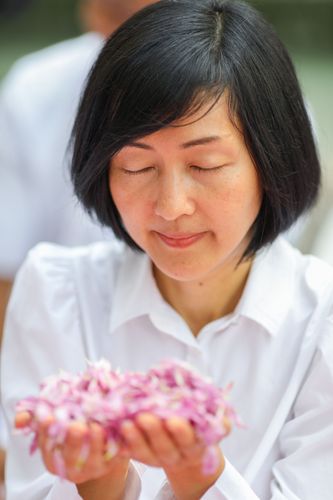 ภาพ No.34867:โครงการธรรมยาตรา เส้นทางพระผู้ปราบมาร ปีที่ 8 ณ วัดพระธรรมกาย