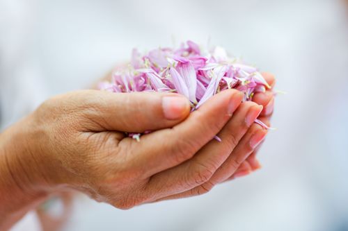 ภาพ No.34870:โครงการธรรมยาตรา เส้นทางพระผู้ปราบมาร ปีที่ 8 ณ วัดพระธรรมกาย