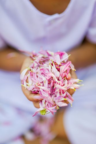 ภาพ No.34872:โครงการธรรมยาตรา เส้นทางพระผู้ปราบมาร ปีที่ 8 ณ วัดพระธรรมกาย