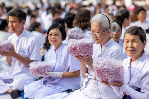 ภาพ No.34836:โครงการธรรมยาตรา เส้นทางพระผู้ปราบมาร ปีที่ 8 ณ วัดพระธรรมกาย