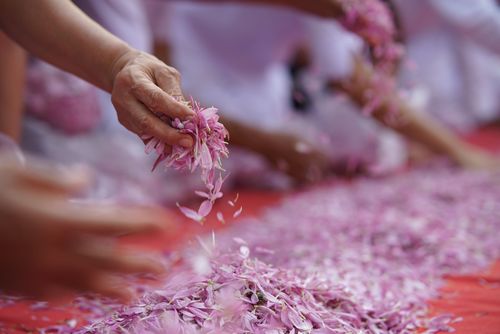 ภาพ No.34812:โครงการธรรมยาตรา เส้นทางพระผู้ปราบมาร ปีที่ 8 ณ วัดพระธรรมกาย