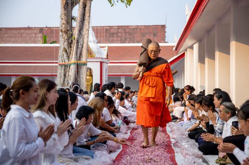 ภาพ No.35044:โครงการธรรมยาตรา เส้นทางพระผู้ปราบมาร ปีที่ 8 ณ วัดสองพี่น้อง