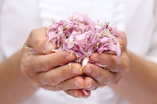 ภาพ No.35228:โครงการธรรมยาตรา เส้นทางพระผู้ปราบมาร ปีที่ 8 ณ วัดโบสถ์บน