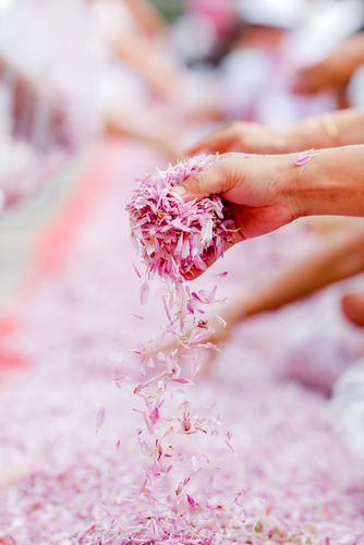 ภาพ No.35205:โครงการธรรมยาตรา เส้นทางพระผู้ปราบมาร ปีที่ 8 ณ วัดโบสถ์บน