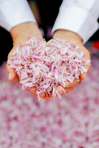 ภาพ No.35212:โครงการธรรมยาตรา เส้นทางพระผู้ปราบมาร ปีที่ 8 ณ วัดโบสถ์บน