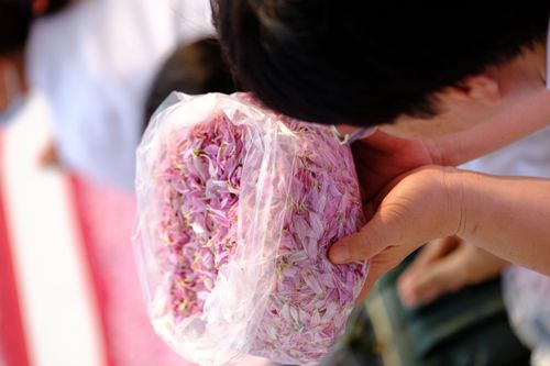 ภาพ No.35196:โครงการธรรมยาตรา เส้นทางพระผู้ปราบมาร ปีที่ 8 ณ วัดโบสถ์บน