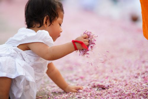 ภาพ No.35131:โครงการธรรมยาตรา เส้นทางพระผู้ปราบมาร ปีที่ 8 ณ วัดโบสถ์บน