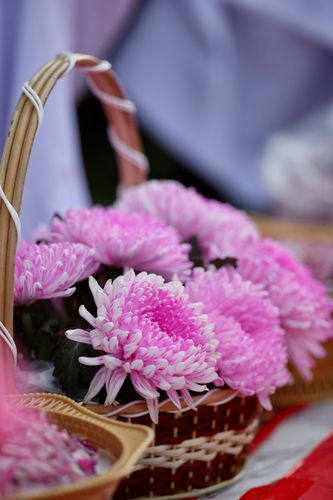 ภาพ No.35351:โครงการธรรมยาตรา เส้นทางพระผู้ปราบมาร ปีที่ 8 ณ วัดพระธรรมกาย