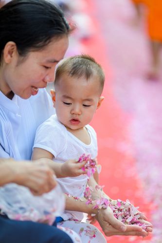 ภาพ No.35371:โครงการธรรมยาตรา เส้นทางพระผู้ปราบมาร ปีที่ 8 ณ วัดพระธรรมกาย