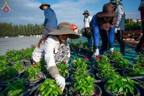 ภาพ No.285373:วันพุธที่ 10 ธันวาคม พ.ศ.2568  การเตรียมความพร้อมในโครงการธรรมยาตรา กตัญญูบูชา มหาปูชนียาจารย์ พระมงคลเทพมุนี(สด จนฺทสโร) พระผู้ปราบมาร อนุสรณ์สถาน 7 แห่ง ปีที่ 14 เก็บดอกเบญจทรัพย์ ณ วัดพระธรรมกาย