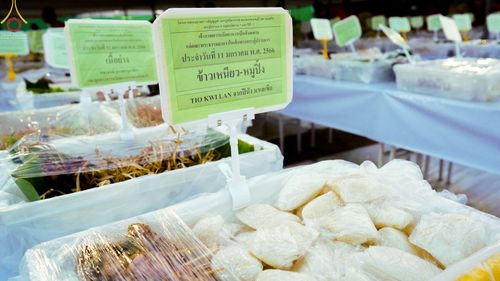 ภาพ No.70103:พิธีถวายภัตตาหารเป็นสังฆทาน แด่คณะพระธรรมยาตราฯ ในโครงการธรรมยาตราฯ ปีที่ 11 ณ อนุสรณ์สถานคลองบางนางแท่น อ.สามพราน จ.นครปฐม วันที่ 11 มกราคม พ.ศ. 2566