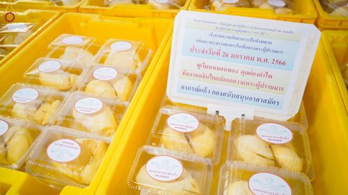 ภาพ No.74441:พิธีถวายภัตตาหารเป็นสังฆทาน แด่คณะพระธรรมยาตราฯ ในโครงการธรรมยาตรากตัญญูบูชา มหาปูชนียาจารย์ พระมงคลเทพมุนี(สด จนฺทสโร) พระผู้ปราบมาร อนุสรณ์สถาน 7 แห่ง ปีที่ 11 วันที่ 26 มกราคม พ.ศ. 2566