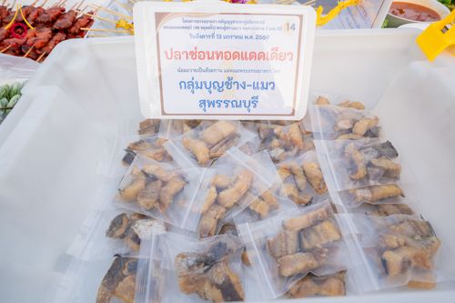 ภาพ No.293577:วันที่ 13 มกราคม พ.ศ. 2569 พิธีถวายภัตตาหารเป็นสังฆทาน แด่พระธรรมยาตรา ณ อนุสรณ์สถานมหาวิหารพระมงคลเทพมุนี (โลตัสแลนด์) อ.สองพี่น้อง จ.สุพรรณบุรี ในโครงการธรรมยาตรา กตัญญูบูชา มหาปูชนียาจารย์ พระมงคลเทพมุนี(สด จนฺทสโร) พระผู้ปราบมาร อนุสรณ์สถาน 7 แห่ง ปี