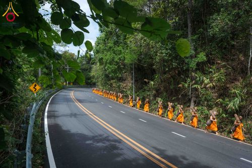 ภาพ No.329166:วันเสาร์ที่ 16 พฤษภาคม พ.ศ.2569 ธรรมยาตรา เดินดูดวงขึ้นดอยฉลองแชมป์บาลี วัดบ้านขุน อำเภอฮอด จังหวัดเชียงใหม่