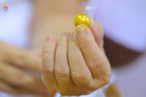 ภาพ No.81659:พิธีหล่อพระประธานเพื่อประดิษฐาน ณ ห้องแก้วสารพัดนึก 2 เนื่องในวันวิสาขบูชา วันเสาร์ที่ 3 มิถุนายน 2566 ณ วัดพระธรรมกาย จ.ปทุมธานี