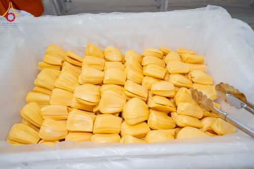 ภาพ No.297956:วันที่ 19 มกราคม พ.ศ. 2569 พิธีถวายภัตตาหารเป็นสังฆทาน แด่พระธรรมยาตรา ณ อนุสรณ์สถานบางปลา วัดบางปลา อำเภอบางเลน จังหวัดนครปฐม ในโครงการธรรมยาตรา กตัญญูบูชา มหาปูชนียาจารย์ พระมงคลเทพมุนี(สด จนฺทสโร) พระผู้ปราบมาร อนุสรณ์สถาน 7 แห่ง ปีที่ 14