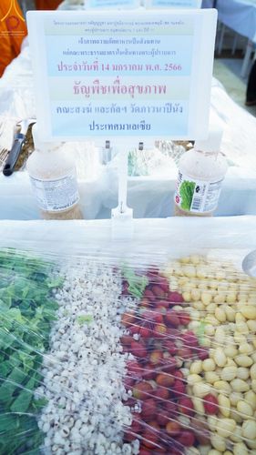 ภาพ No.71213:พิธีถวายภัตตาหารเป็นสังฆทาน แด่คณะพระธรรมยาตราฯ ในโครงการธรรมยาตราฯ ปีที่ 11 ณ อนุสรณ์สถานคลองบางนางแท่น อ.สามพราน จ.นครปฐม วันที่ 14 มกราคม พ.ศ. 2566